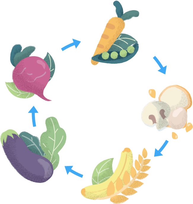 Dietitian_Illustration_02 | Nutrigility | Wellness Website & Consultant Dietitian