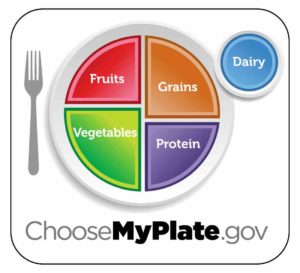 myplate_white | Nutrigility MyPlate image
